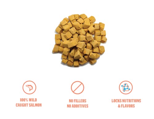 Organic salmon treats