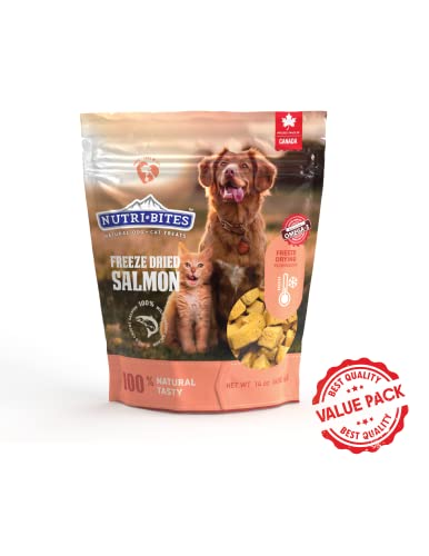 Freeze dried salmon treats