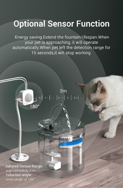 Auto Oasis Water Fountain