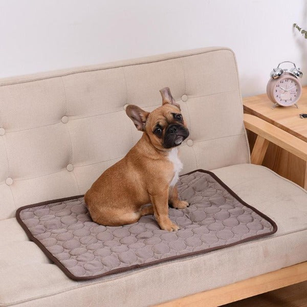 The Cooling Mat