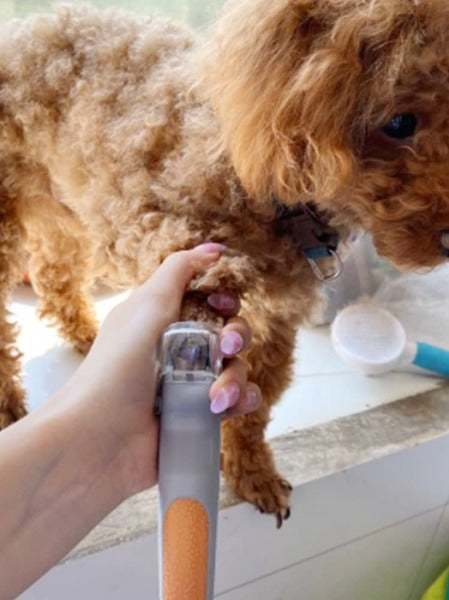 The LED Nail Clipper