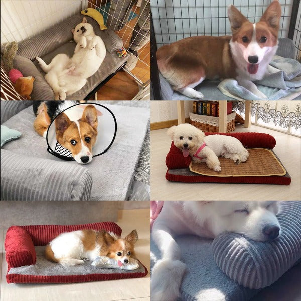 The Pawfect Couch