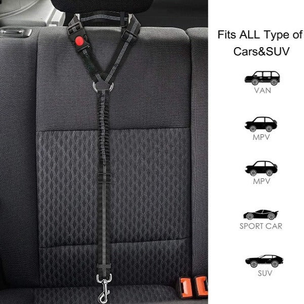 The Multi-Functional Seat Belt