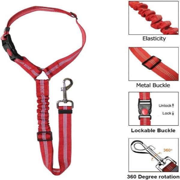 The Multi-Functional Seat Belt