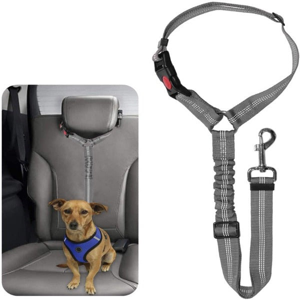 The Multi-Functional Seat Belt