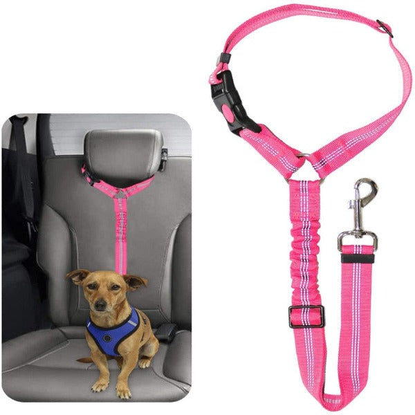 The Multi-Functional Seat Belt