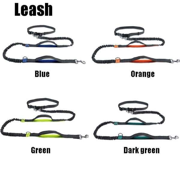 Hands-Free Jogger Leash