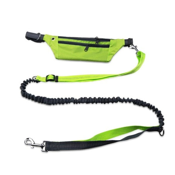 Hands-Free Jogger Leash