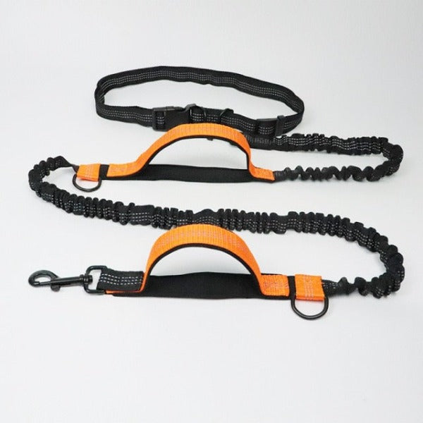 Hands-Free Jogger Leash