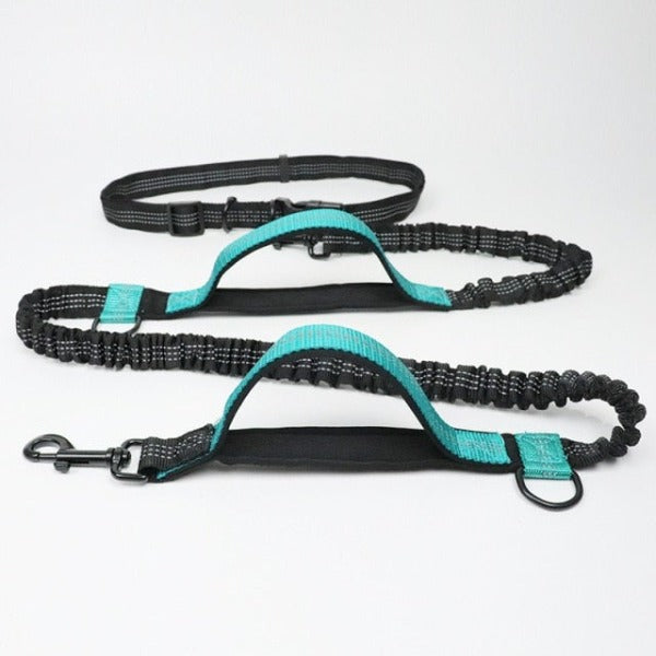 Hands-Free Jogger Leash