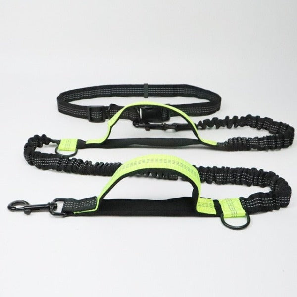Hands-Free Jogger Leash