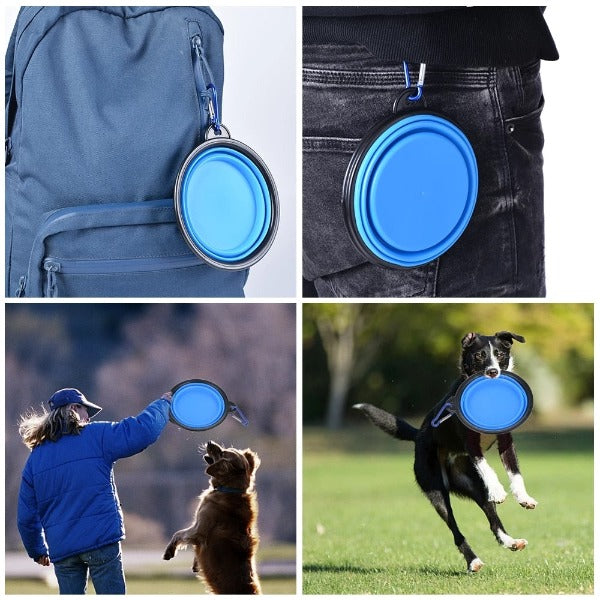 On the Run Pup Bowl