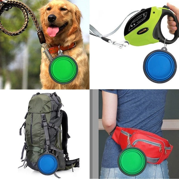 On the Run Pup Bowl