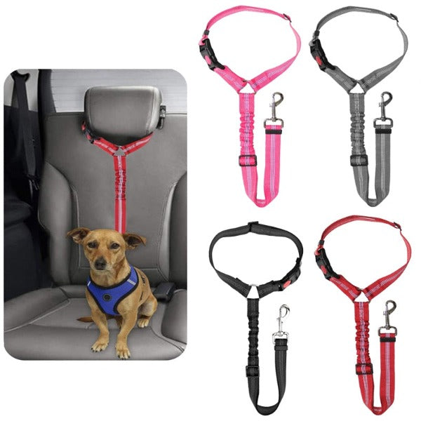 The Multi-Functional Seat Belt