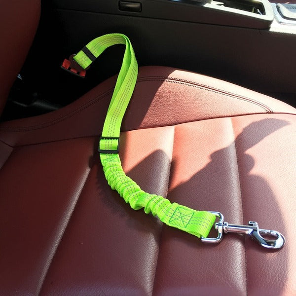 The Bungee Dog Seat Belt