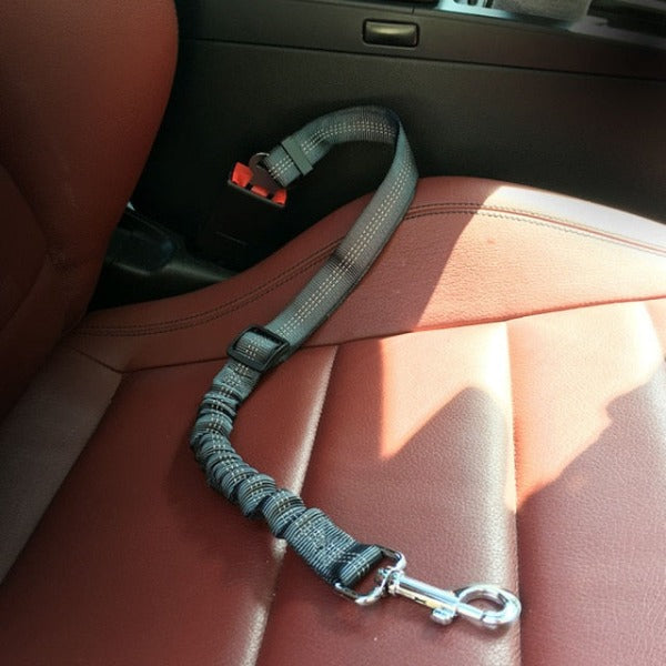 The Bungee Dog Seat Belt