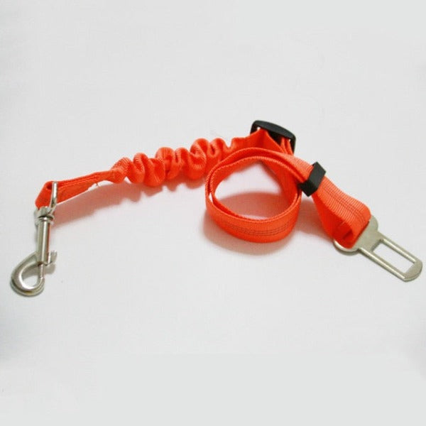 The Bungee Dog Seat Belt