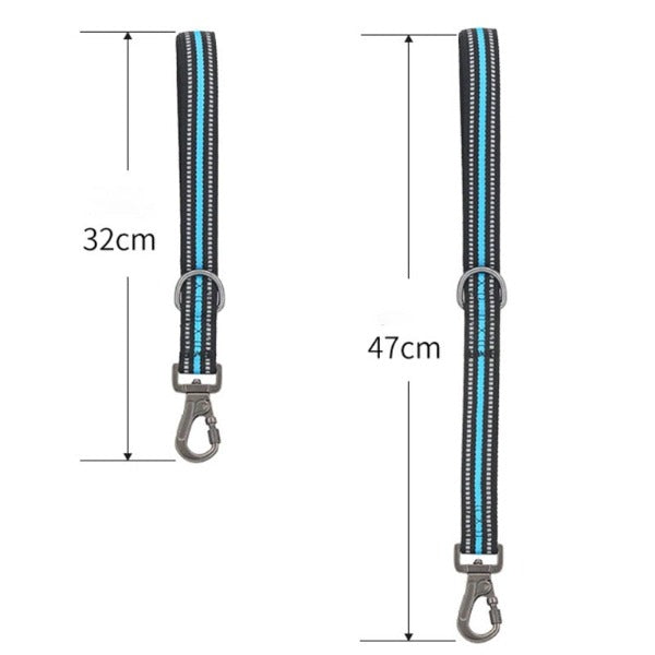 Hands-Free Jogger Leash
