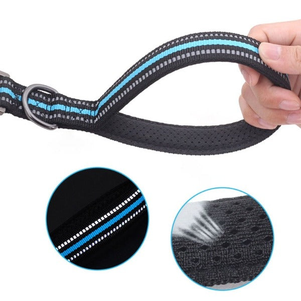 Hands-Free Jogger Leash