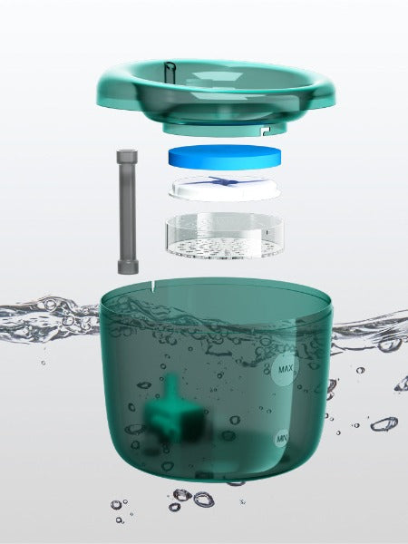 Auto Oasis Water Fountain