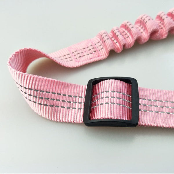 The Bungee Dog Seat Belt