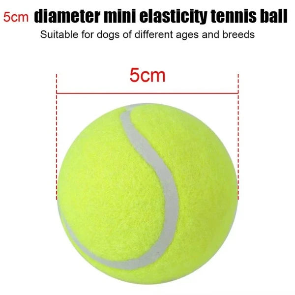 The Mini Tennis Launcher