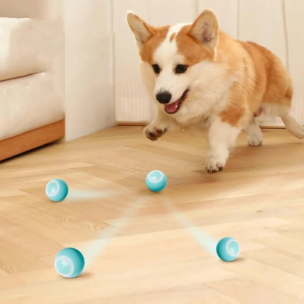 The Smart Bouncing Ball