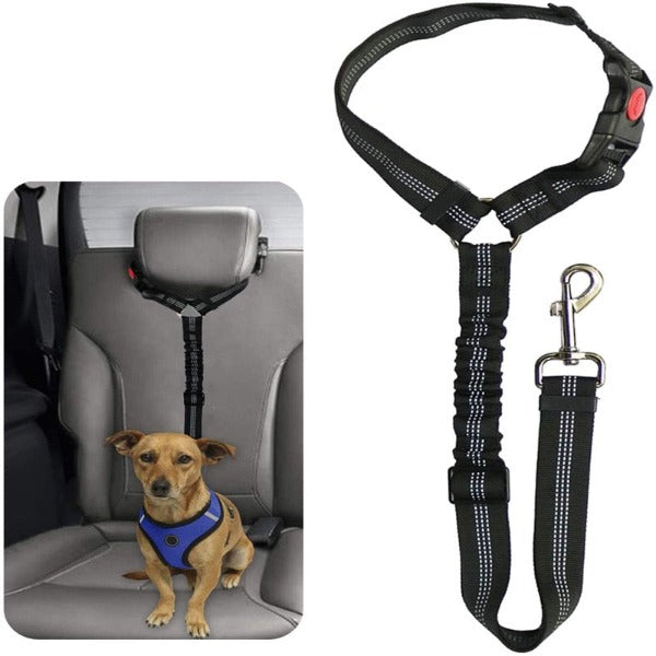 The Multi-Functional Seat Belt