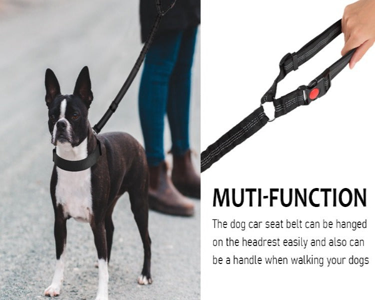 The Multi-Functional Seat Belt