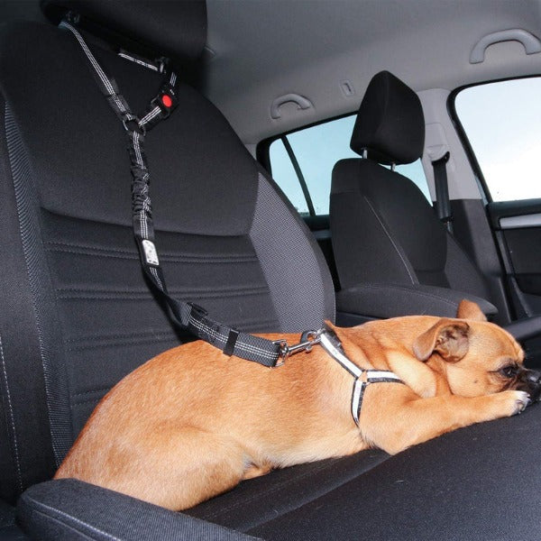 The Multi-Functional Seat Belt