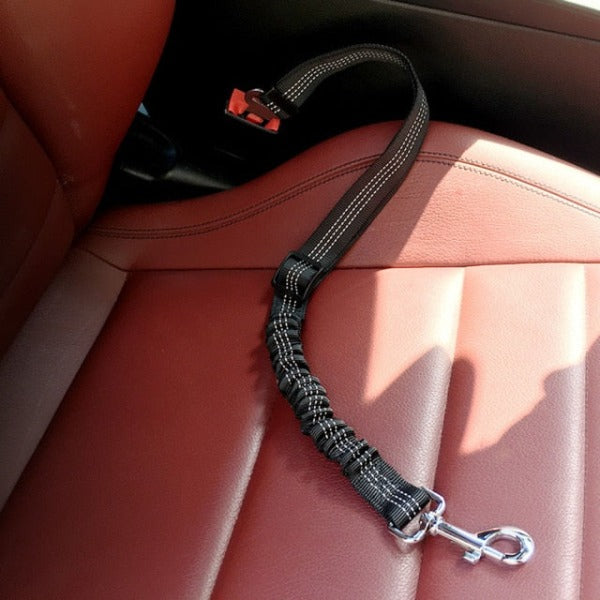 Dog car seat belt