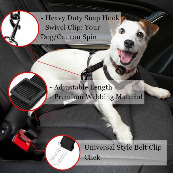 The Standard Dog Seat Belt