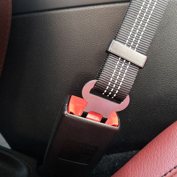 The Bungee Dog Seat Belt